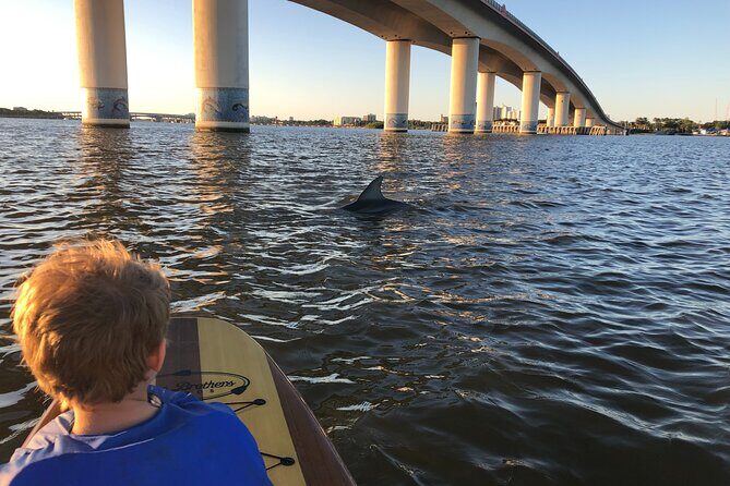 Paddle Board Rental - Introduction