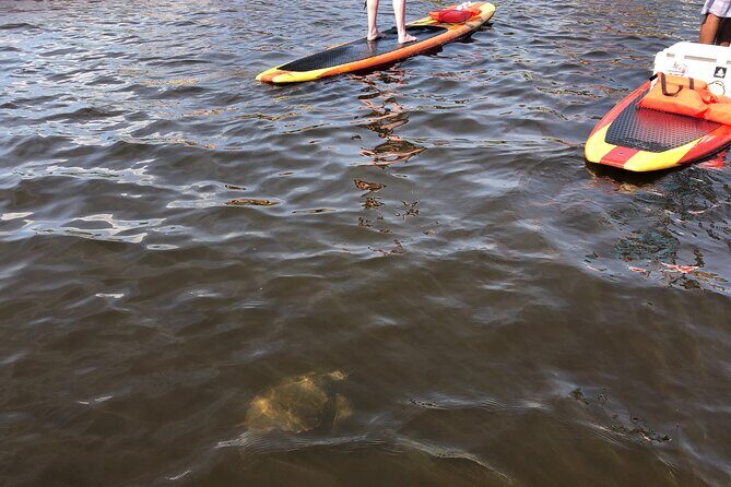 Paddle Board Rental - FAQs