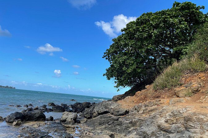 Paddle boarding and hiking adventure at Mokoli'i Island. - The Sum Up: Is It Worth It?