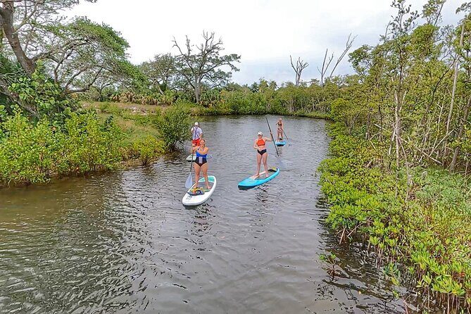 Paddle Boarding Eco Adventure Tour Jupiter Florida - Singer Island - The Sum Up: Why It’s a Great Choice