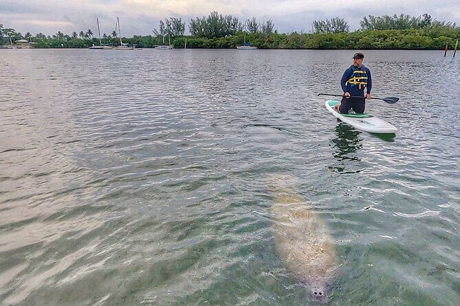 Paddle Boarding Eco Adventure Tour Jupiter Florida - Singer Island - FAQ
