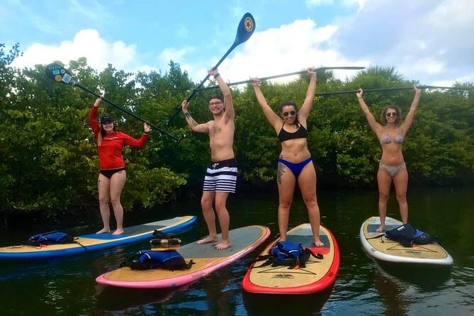 Paddle Boarding Rentals - Key Points