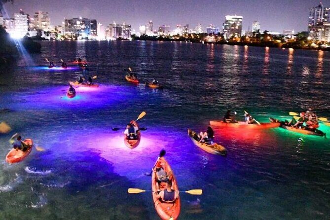 Paddle & Glow LED Kayaking - Exploring the Itinerary in Detail