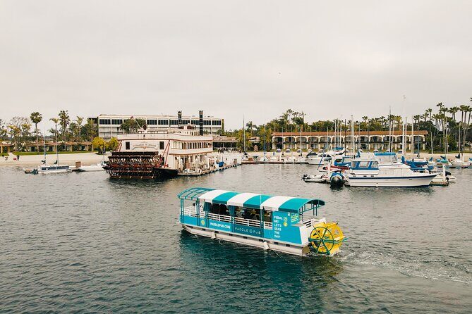 Paddle Pub San Diego Party Cruise: Drinks & Dancing for up to 26 - Who is this experience ideal for?