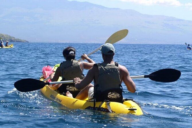 Paddle, Snorkel and Learn to Surf: All in a Day on Maui - The Authentic Maui Experience