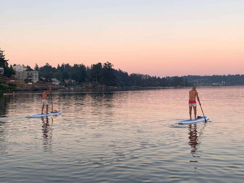 Paddle the heart of downtown Victoria - An In-Depth Look at the Victoria Paddleboarding Tour