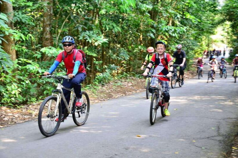 Paddle to Pedal Adventure - Authentic Reviews & Traveler Insights
