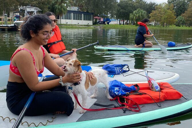 Paddle with Pups in Paradise - Paddleboard or Kayak - An Overview of the Experience