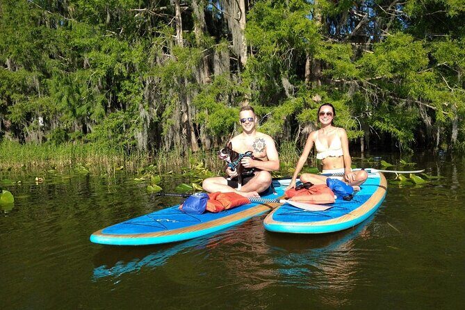 Paddle with Pups in Paradise - Paddleboard or Kayak - The Itinerary in Detail