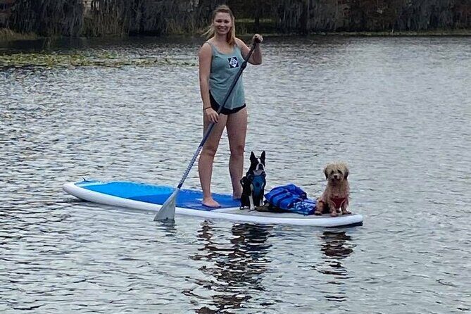 Paddle with Pups in Paradise - Paddleboard or Kayak - Final Thoughts: Is This the Right Tour for You?