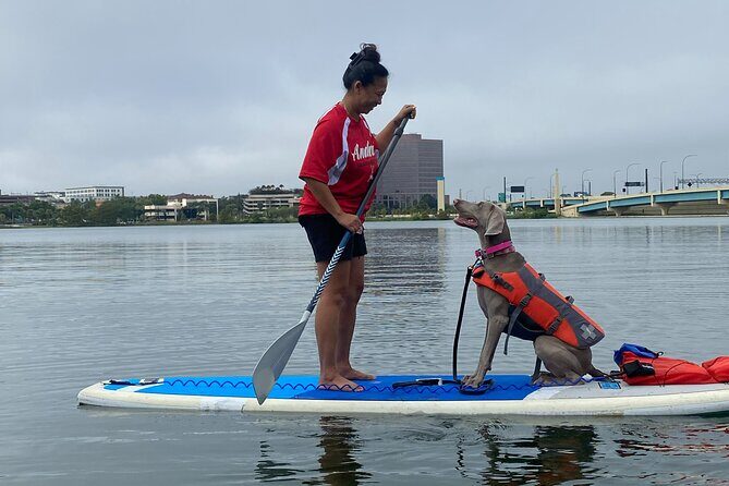 Paddle with Pups in Paradise - Paddleboard or Kayak - FAQ