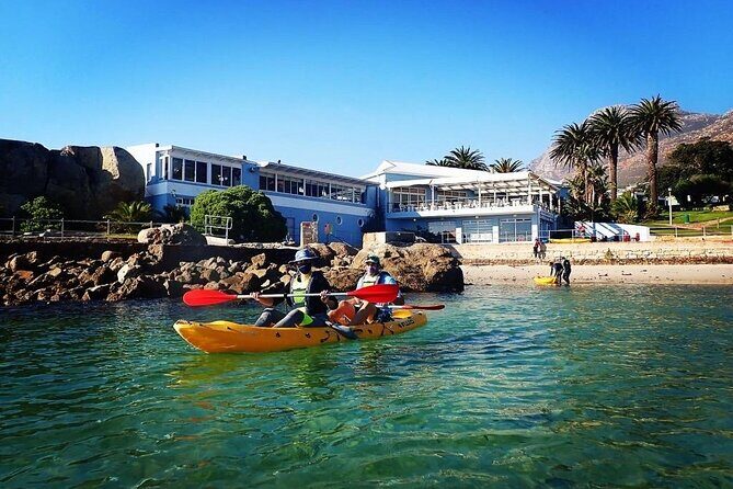 Paddle with the Penguins - Final Thoughts