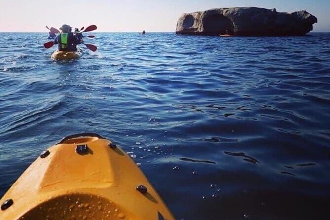 Paddle with the Penguins - Frequently Asked Questions