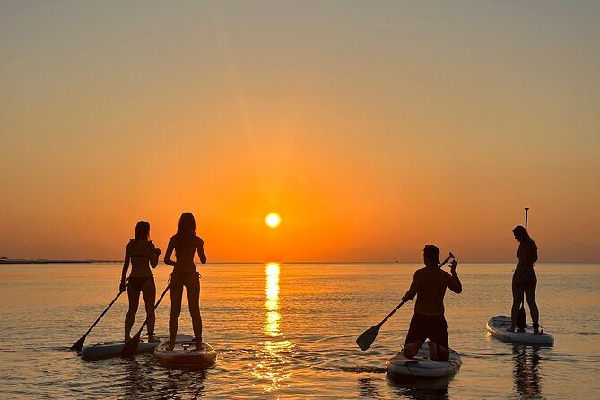 Paddle with us in Golf Hammamet - Analyzing the Cost and Value