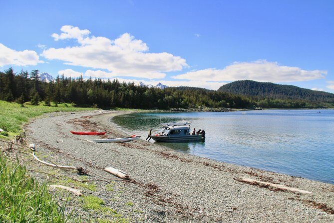 Paddle with Whales Kayak Adventure Juneau - An Overview of the Paddle with Whales Kayak Adventure