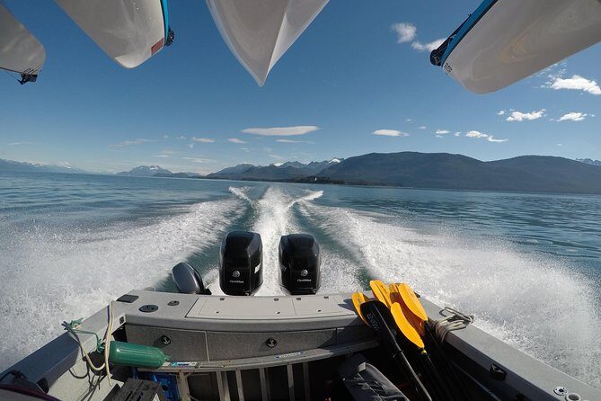 Paddle with Whales Kayak Adventure Juneau - Practical Considerations