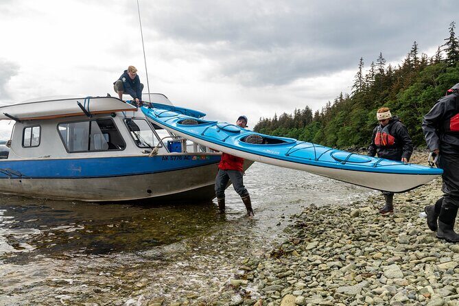 Paddle with Whales Kayak Adventure Juneau - Why Choose This Tour?