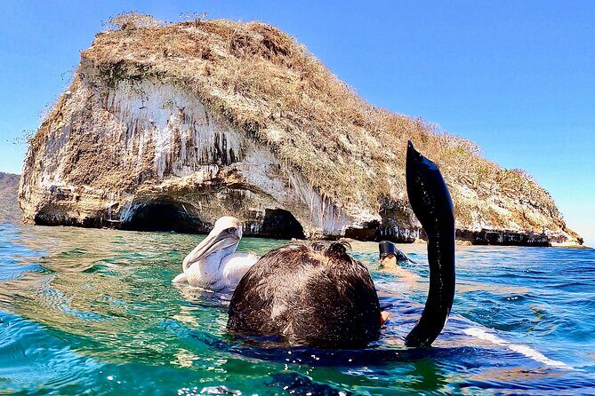 Paddleboard and Snorkeling Experience in Los Arcos - Frequently Asked Questions