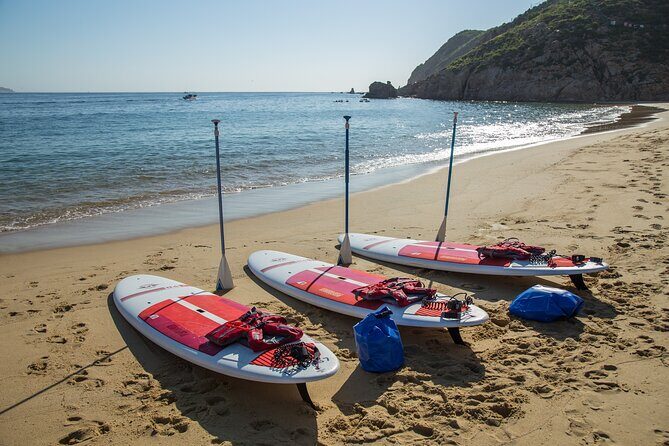 Paddleboard Expedition to the Arch of Cabo San Lucas, Lovers Beach & Snorkel - Who Should Consider This Tour?