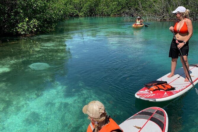 Paddleboard Kayak Tour in Cancun - The Practicalities