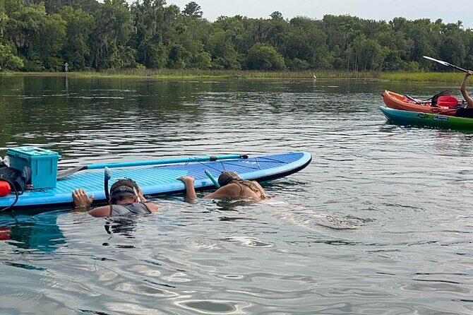 Paddleboard Rental  Three Sisters Springs & Manatee Refuge - The Experience of Exploring Three Sisters Springs