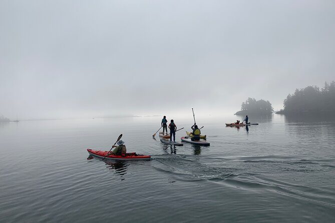 Paddling Esquimalt Harbor to Cole Island - FAQ