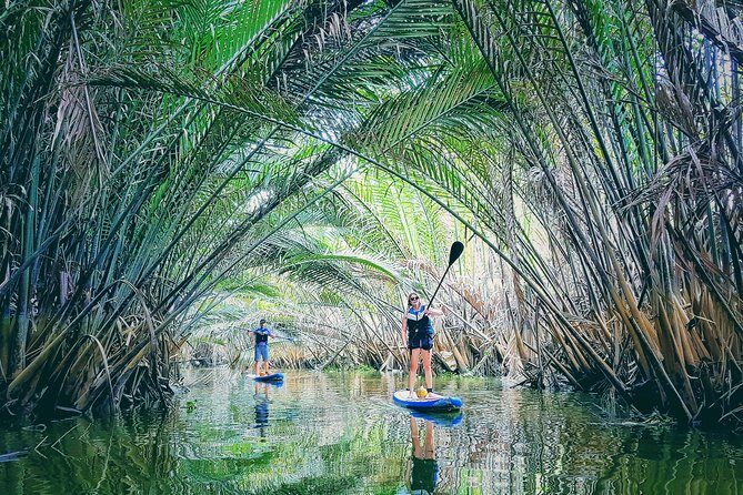 Paddling to explore the historic Vietnam War Rach Chiec jungle, - A detailed look at what you can expect