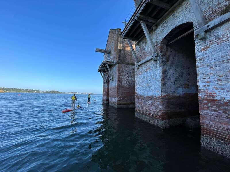 Paddling tour to the Historical Cole Island - Victoria BC - Why Choose This Tour?