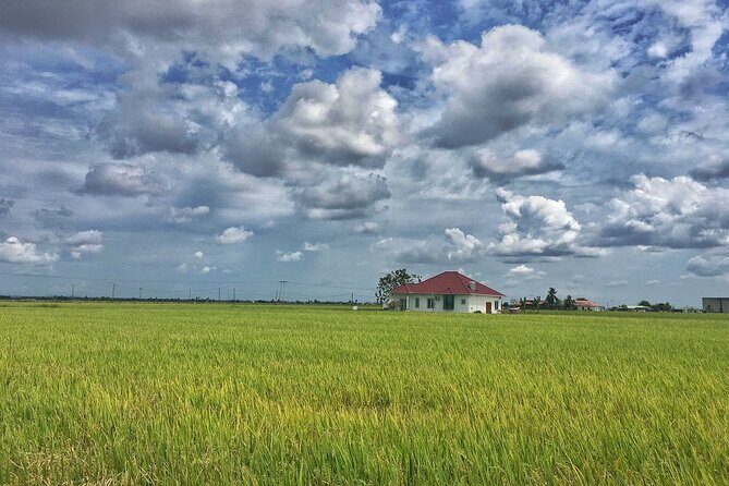 Paddy Field, Fishing Village Sekinchan DAY Tour Lunch (SIC-Shared/Join In Tour) - The Fishing Village Charm
