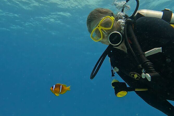 PADI Advanced Diving Course in Hurghada - Learn Scuba Diving - Why This Course Is a Good Value