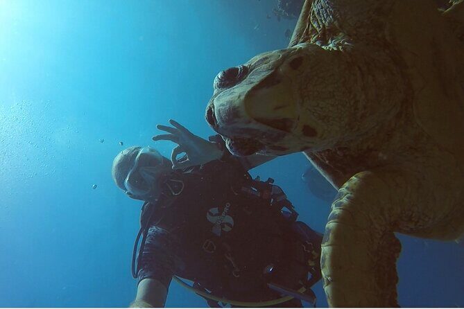 PADI Advanced Diving Course in Hurghada - Learn Scuba Diving - Who Should Consider This Course?