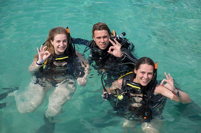 PADI Discover Scuba Dive at 5 Star Dive Center Blue Bay Dive, Curacao - Who Should Consider This Tour?
