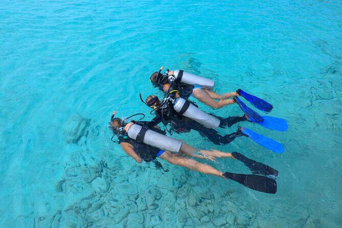 PADI Discover Scuba Dive at Coral Divers Curacao - Key Points