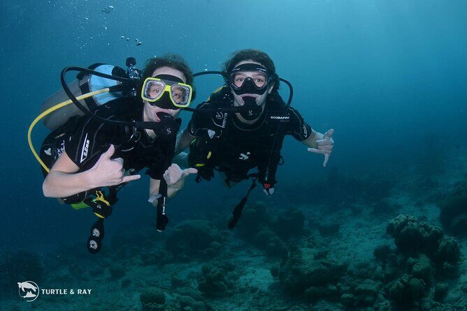 PADI Discover Scuba Dive - An Honest Look at the Experience