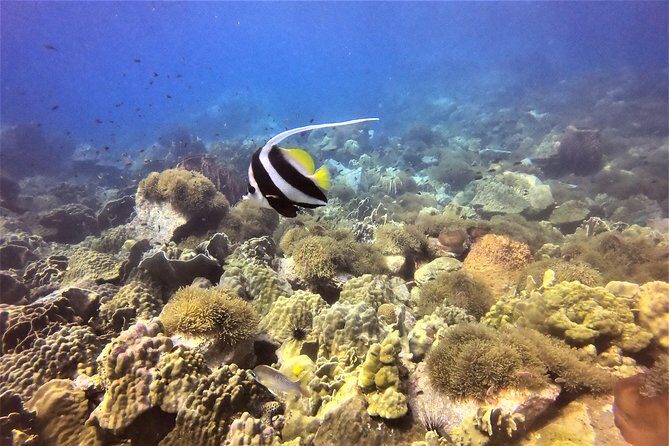 PADI Discover Scuba Dive Experience - FAQ