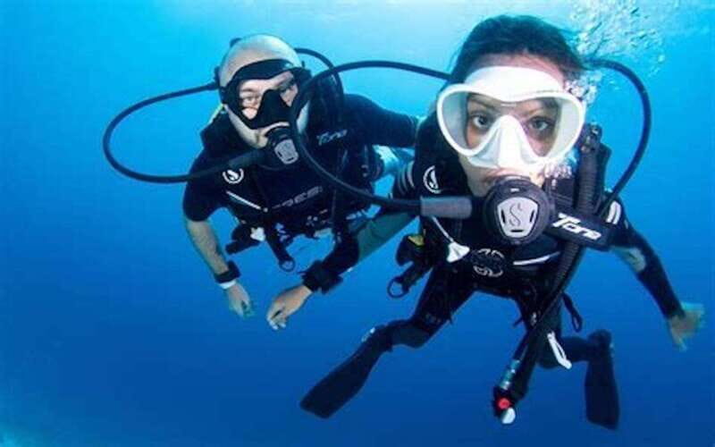 PADI Discover Scuba Diving: at Hol Chan Marine Reserve - The Marine Environment and Why It Matters
