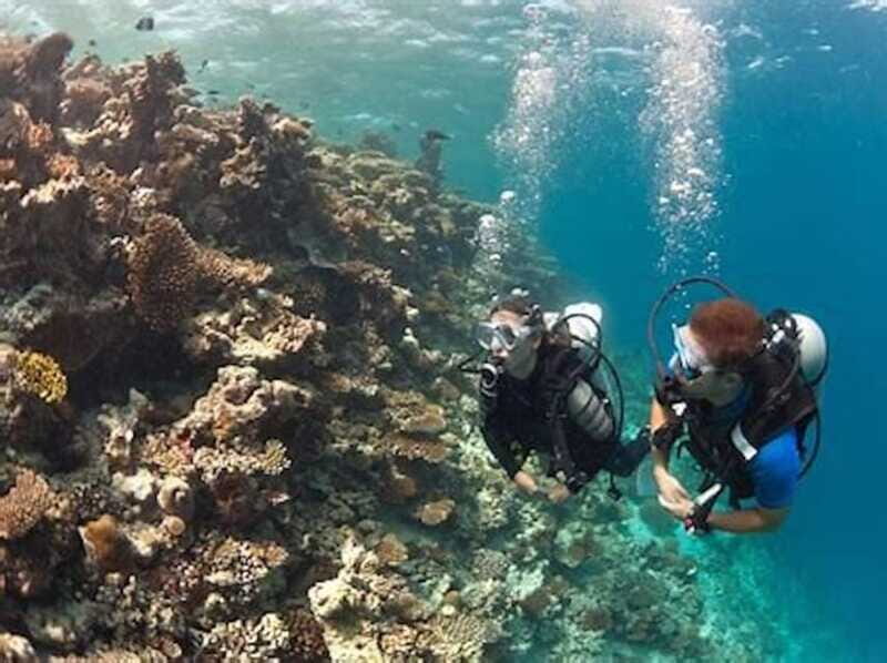 PADI Discover Scuba Diving: at Hol Chan Marine Reserve - FAQs