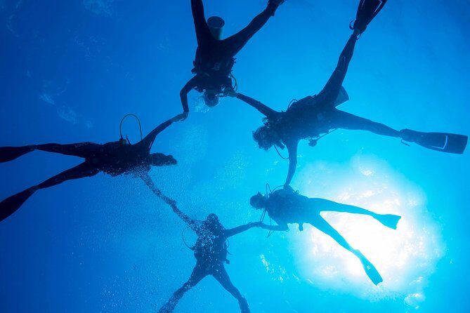 PADI Discover Scuba Diving - What You Can Expect from the Tour