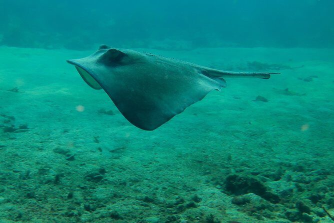 PADI Discover Scuba Diving - Summary of the Experience