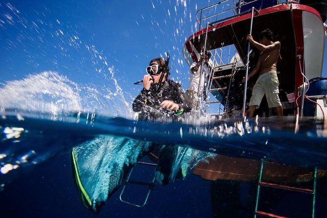 PADI Discover Scuba Diving Experience Full Day Trip - What Makes This Tour Stand Out?