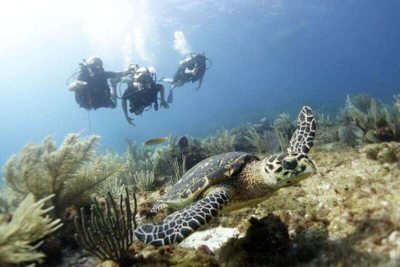 PADI Discover Scuba Diving for divers without certification - Key Points