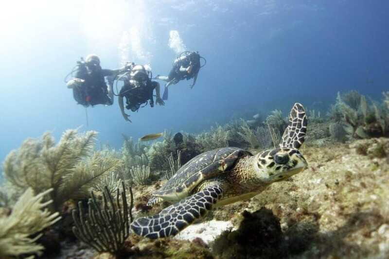 PADI Discover Scuba Diving for divers without certification - Frequently Asked Questions