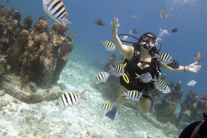 PADI Discover Scuba Diving for divers without certification - Highlighted Features That Make It Special