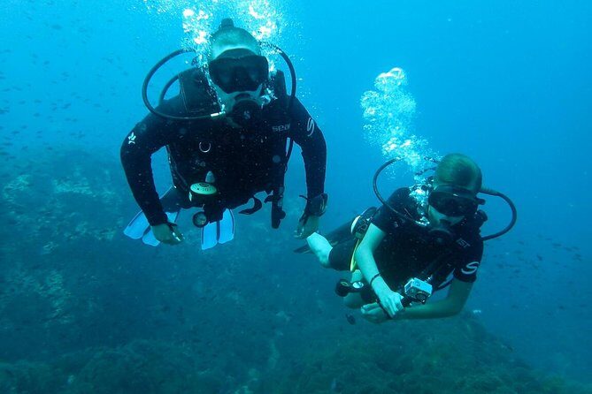 PADI Discover Scuba Diving in Koh Tao - half day and two dives - Introduction: A Gentle Dive into Underwater Adventures