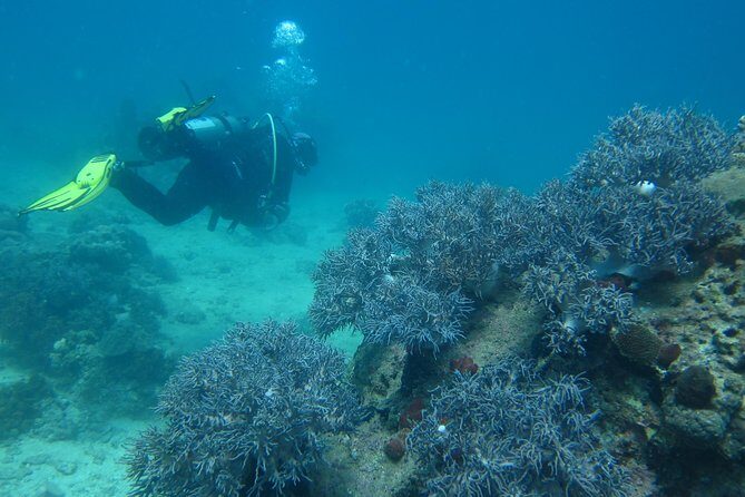 PADI Discover Scuba Diving - introduction program for beginners - Equipment and Inclusions: Hassle-Free Diving