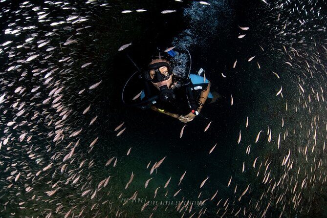 PADI Open Water Course in Cabo San Lucas - Why This Course Stands Out
