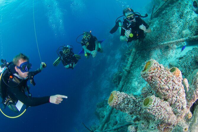 PADI Open Water Course in Curacao - An In-Depth Look at the PADI Open Water Course in Curacao