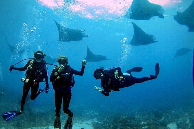 PADI Open water Course in Lembongan - Get certified & dive anywhere in the world - Key Points