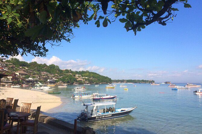 PADI Open water Course in Lembongan - Get certified & dive anywhere in the world - An In-Depth Look at the Lembongan PADI Open Water Course