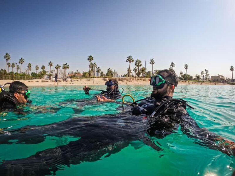 Padi Open Water Course With Elearning - Key Points